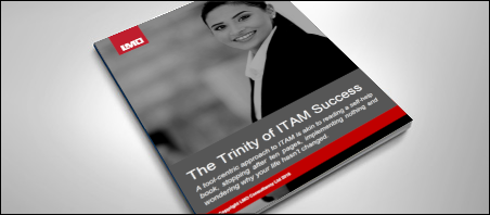 The Trinity of ITAM Success